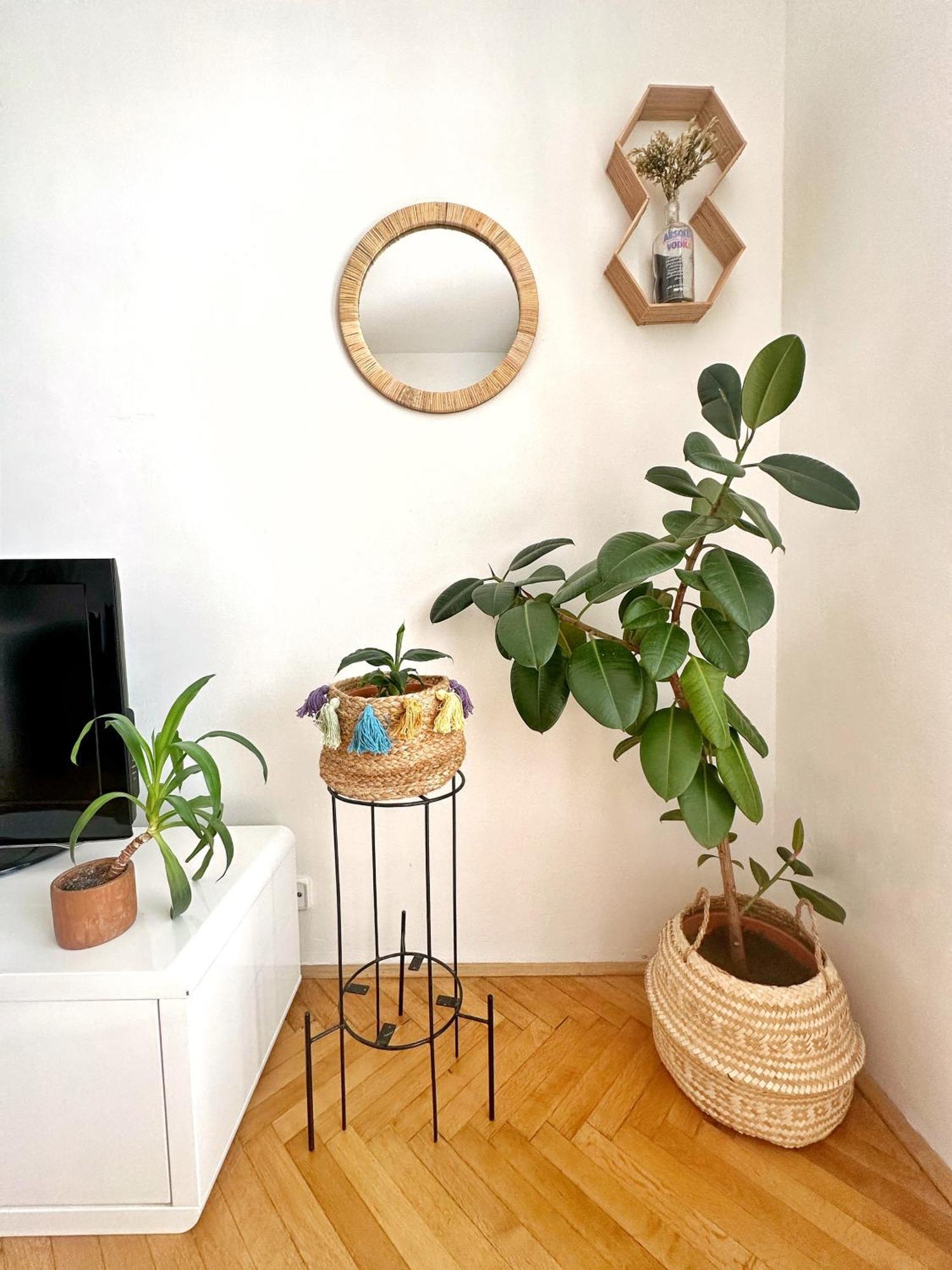 Bright And Central Suite With A Balcony Brno Ngoại thất bức ảnh